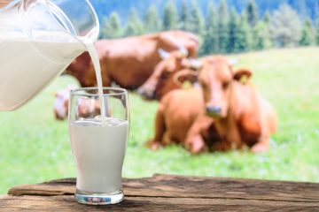 Danas se obilježava Svjetski dan mlijeka: pogledajte statističke podatke o proizvodnji