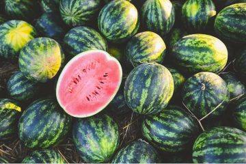 Divljaju cijene lubenica: omiljeno ljetno osvježenje postaje preskupo